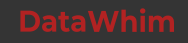 Data Whim Footer Logo